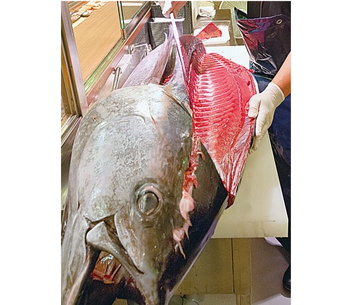 魚の北辰 まぐろ解体実演販売会