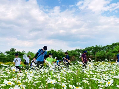生きものクラブ 〜夏の昆虫探し体験〜