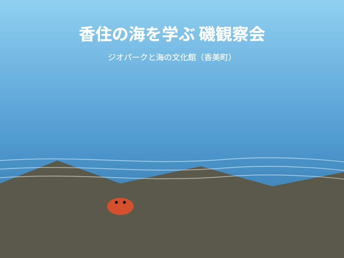 香住の海 磯観察会（イメージ）