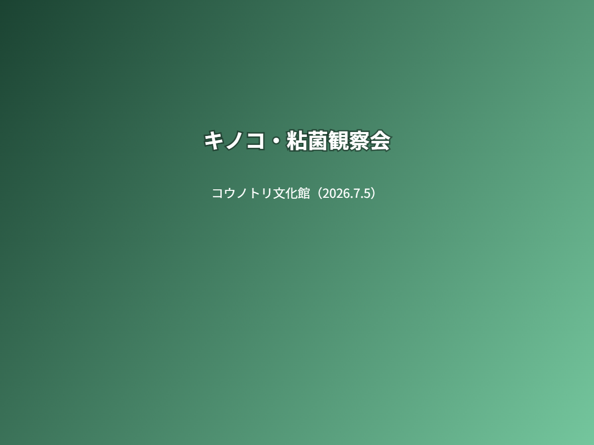 観察会