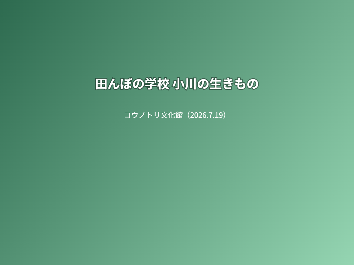観察会