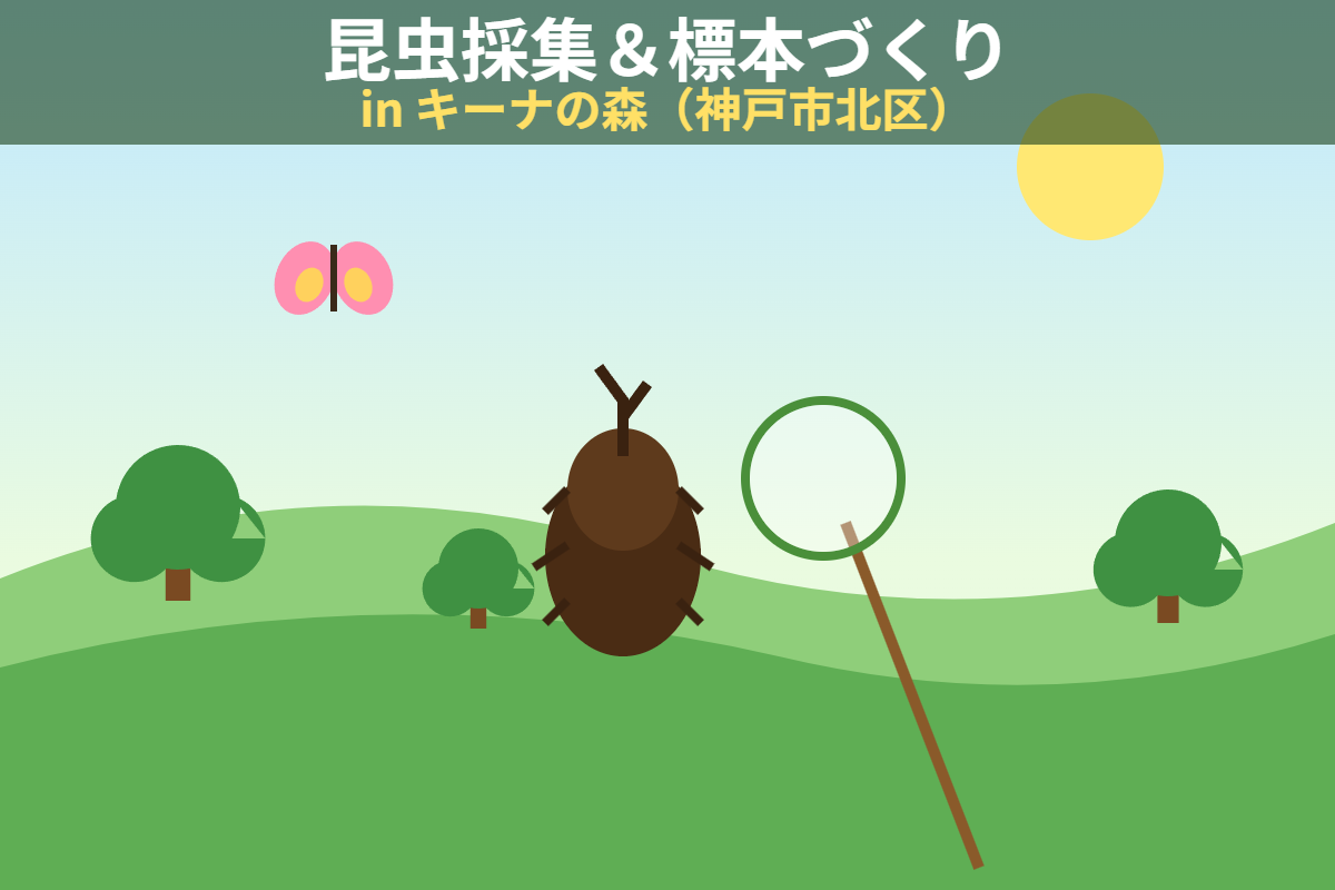 昆虫採集＆初めての標本づくりinキーナの森