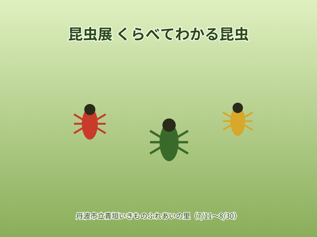 昆虫展（イメージ）