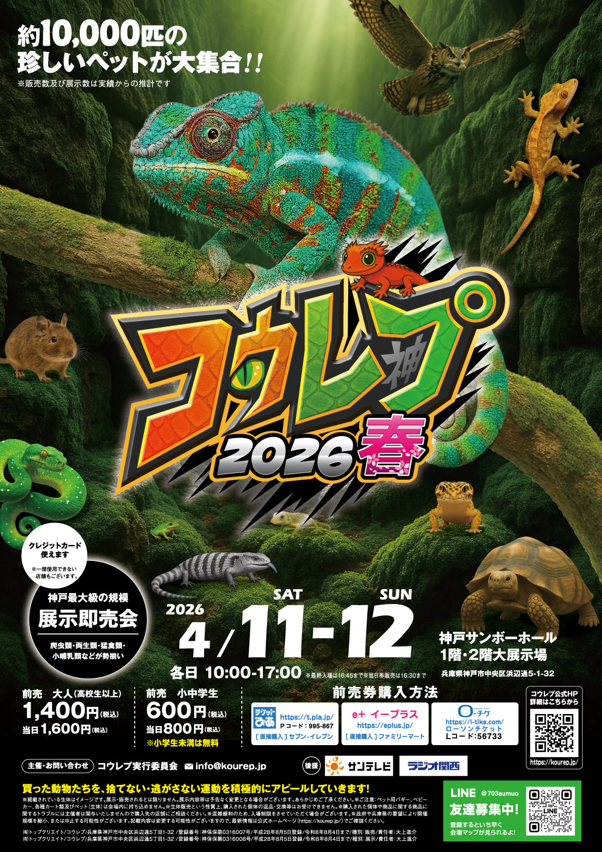 コウレプ2026年春