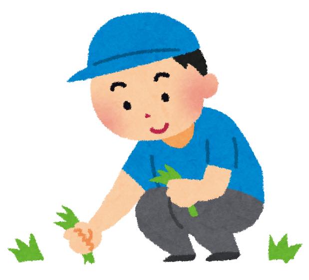 草取り