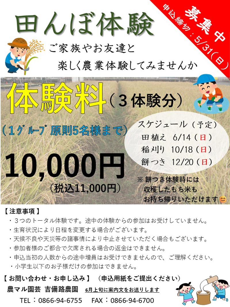 農マル園芸　吉備国田んぼ体験