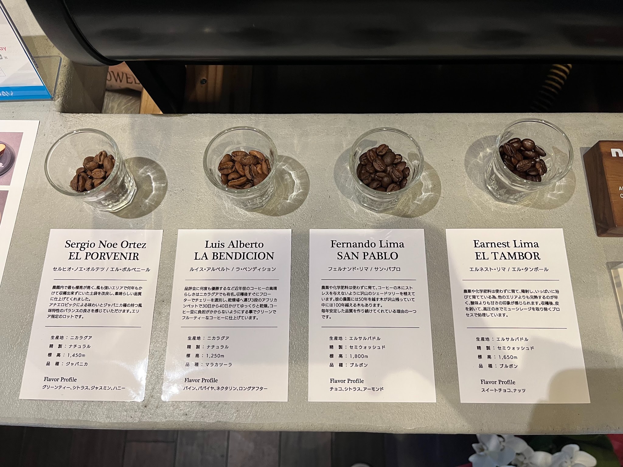 だるまCOFFEE