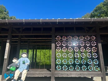 あいな里山公園ですごす夏休み