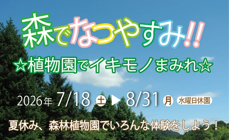 森林植物園でイキモノまみれの夏休み