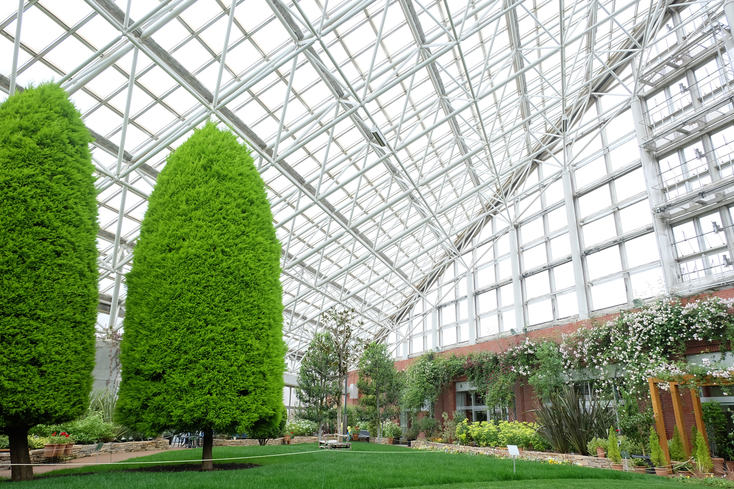 第15回「いわみざわ洋らん展」