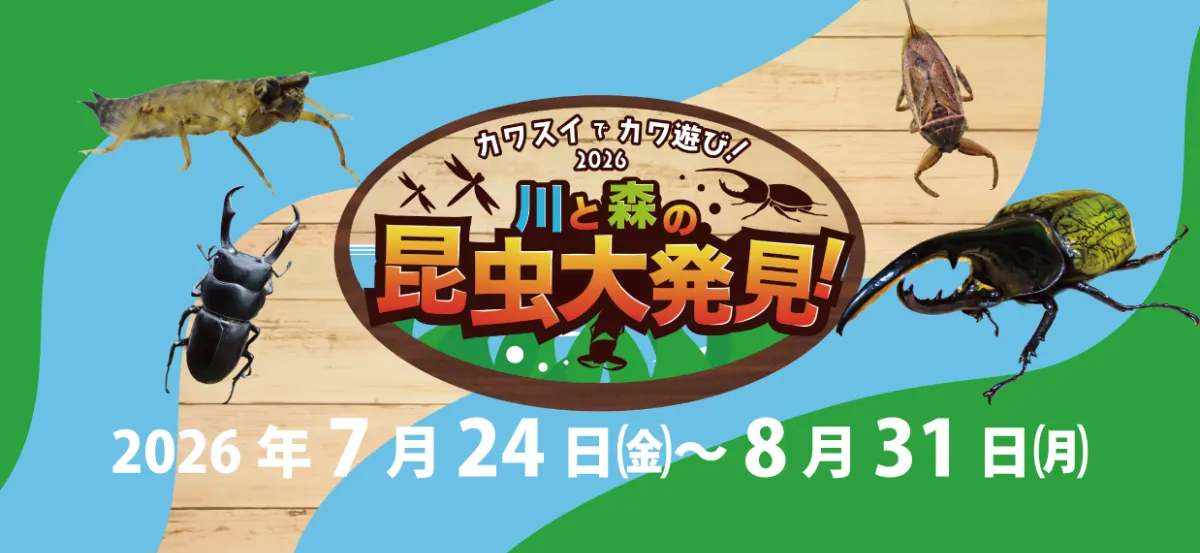 カワスイで カワ遊び！川と森の昆虫大発見！