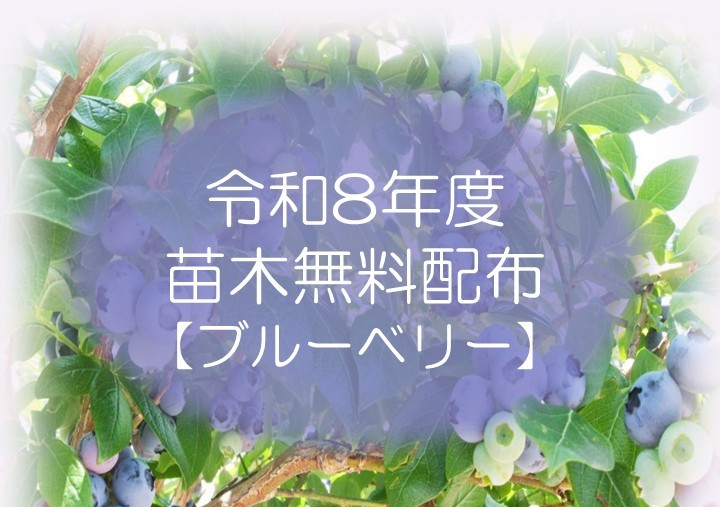 苗木の無料配布