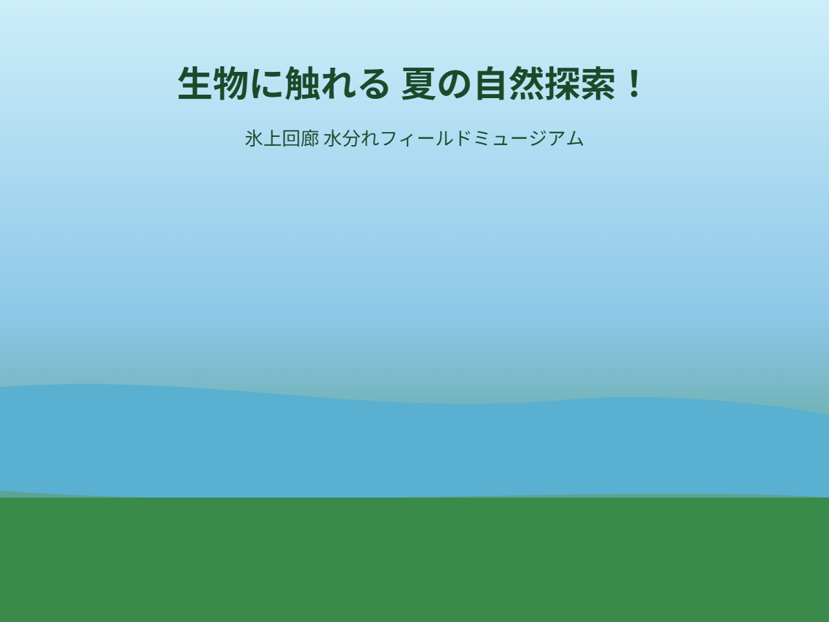 夏の自然探索（イメージ）