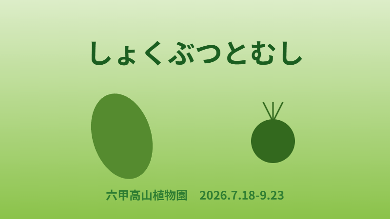 しょくぶつとむし