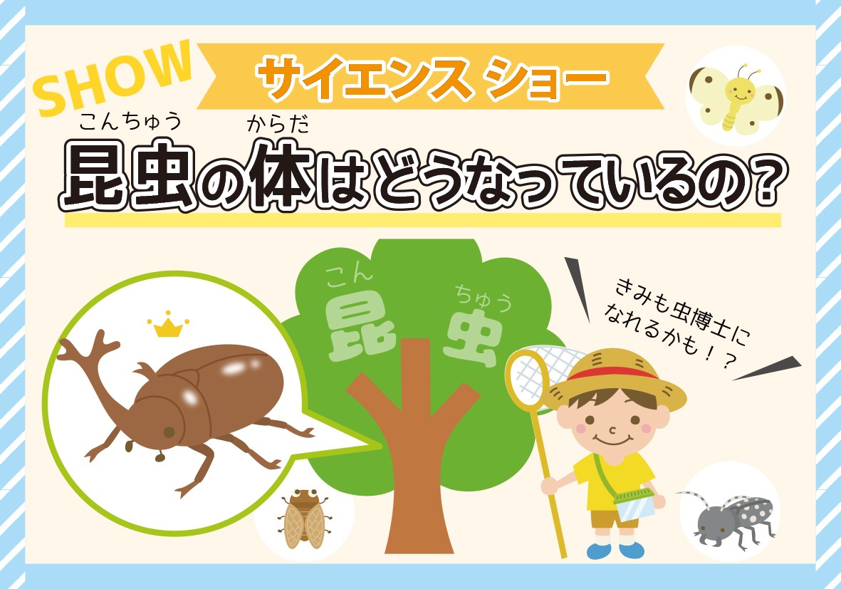 サイエンス ショー「昆虫の体はどうなっているの?」