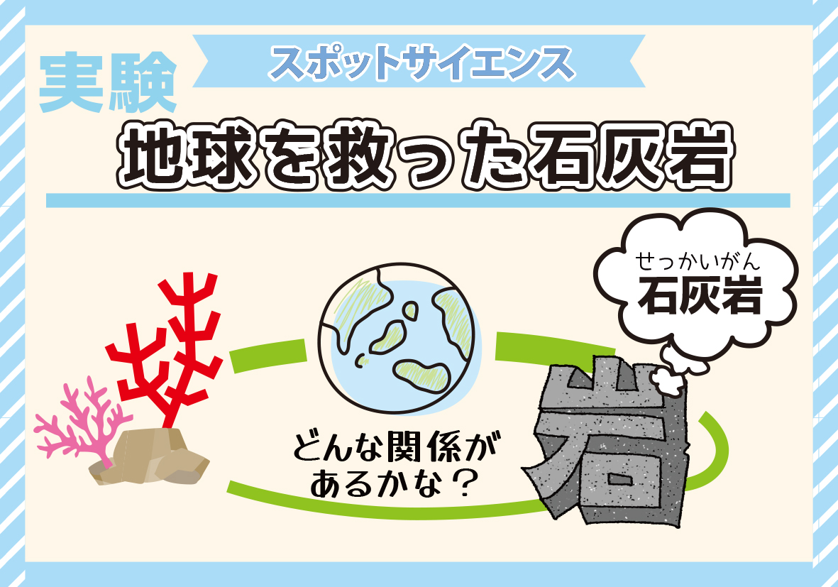 地球を救った石灰岩