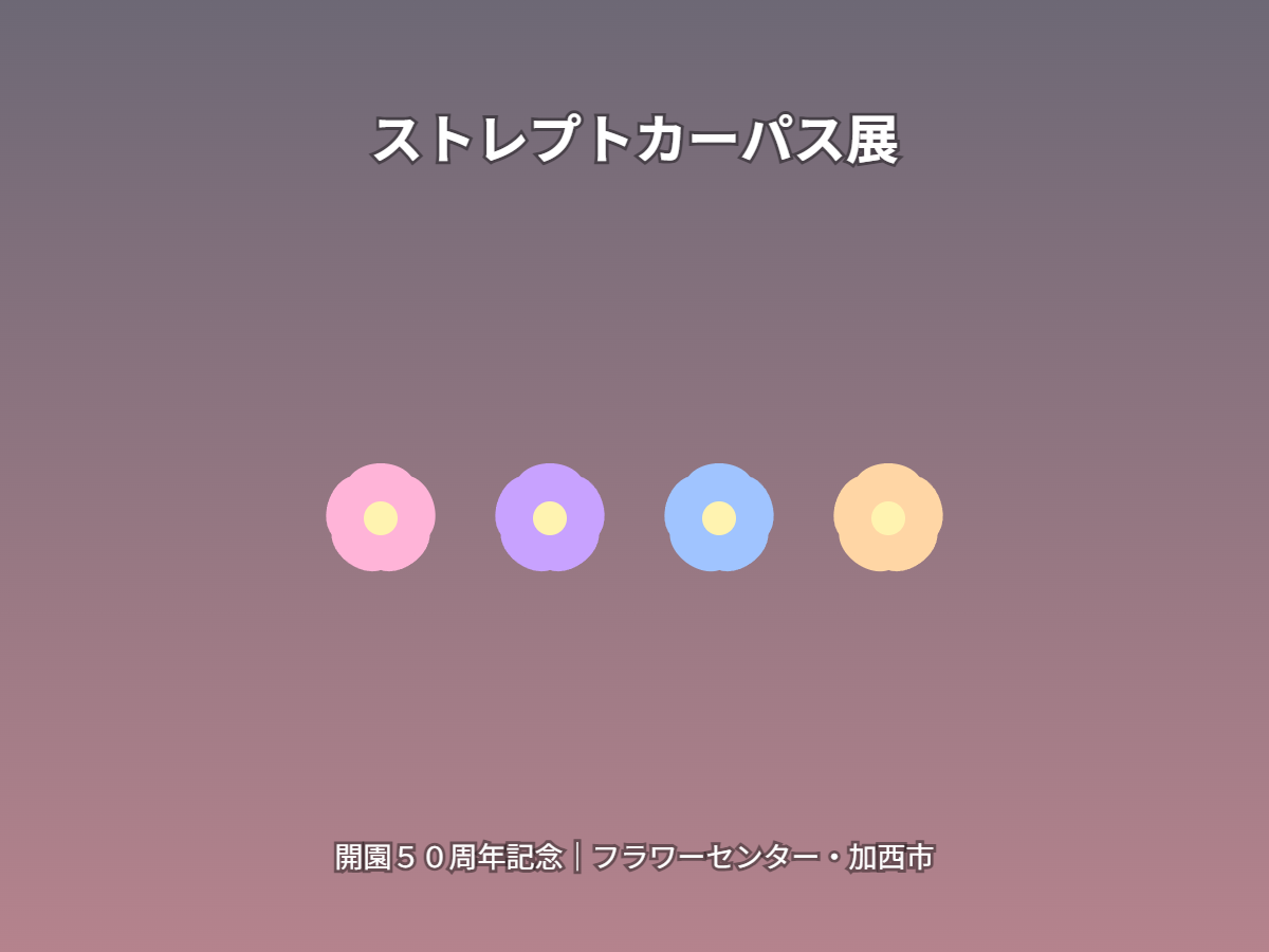ストレプトカーパス展（イメージ）