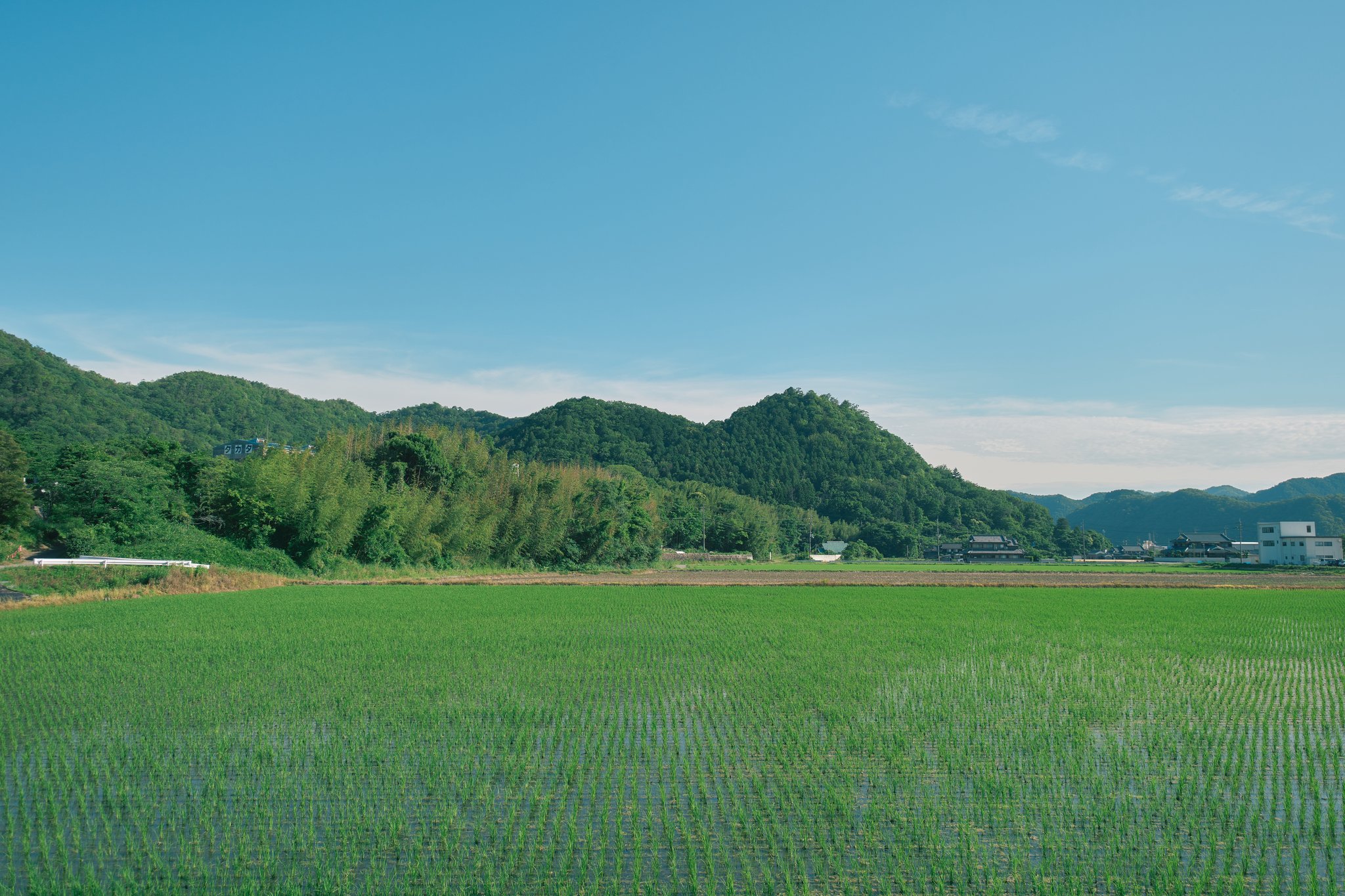 鍛造技術の新ブランド誕生！兵庫県市川町ものづくりの挑戦
