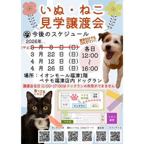【ペテモ】いぬ・ねこ見学譲渡会