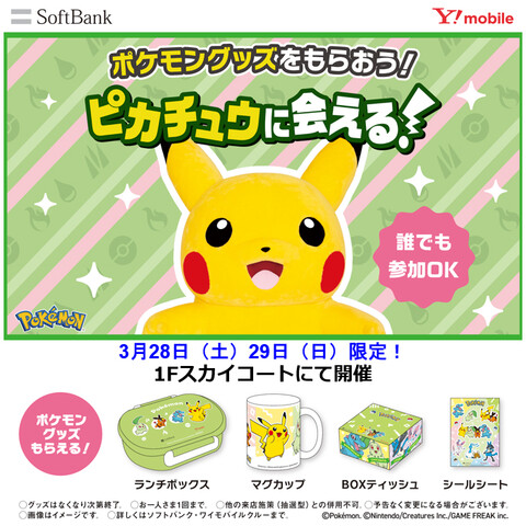  ピカチュウにあえる！