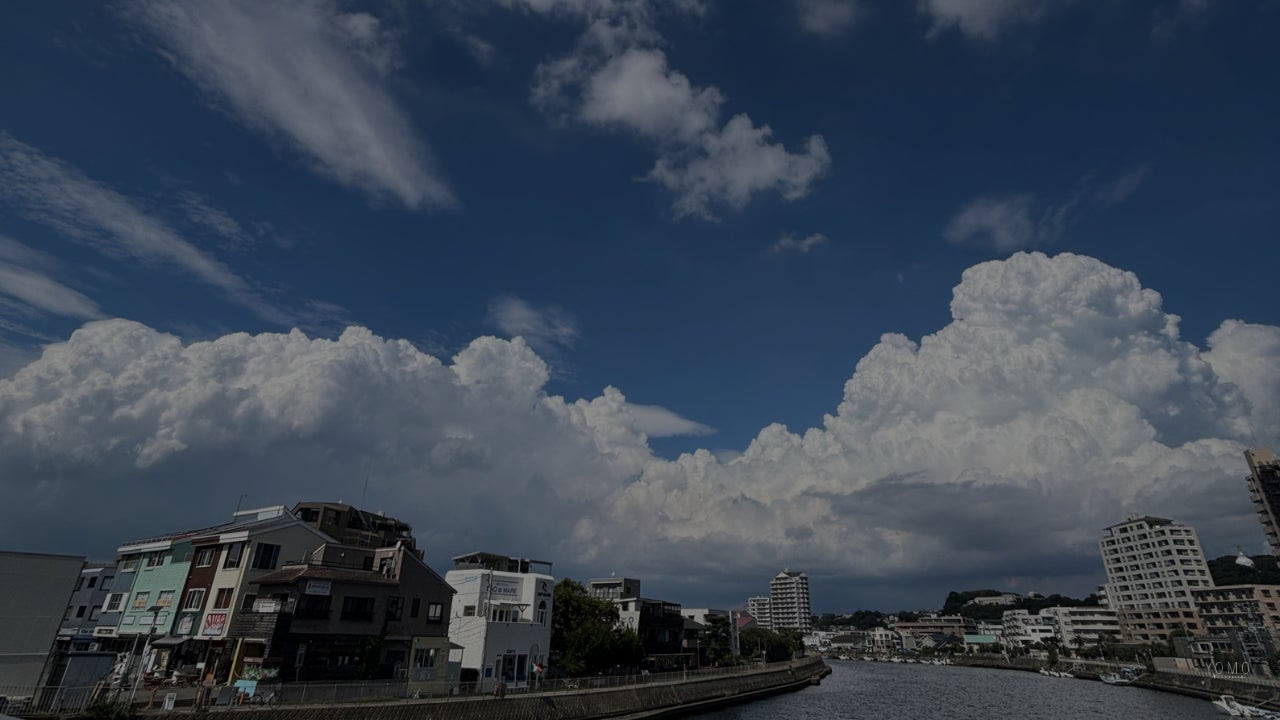 YOMO 湘南藤沢店3