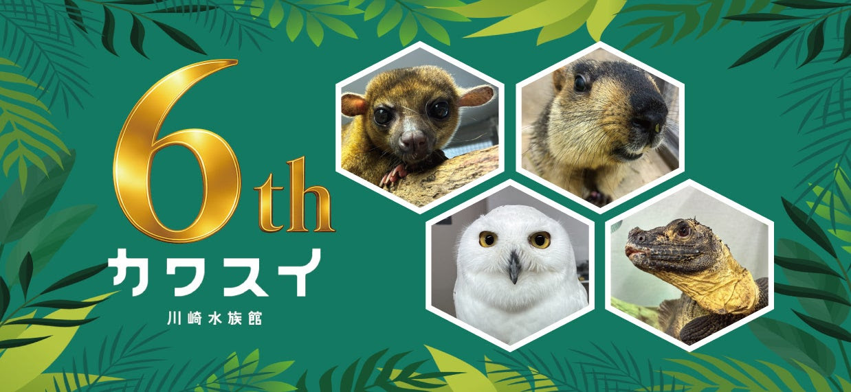 カワスイ6周年  ヒマラヤマーモット登場と特別チケット情報