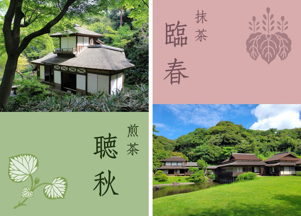 三溪園 オリジナル茶期間限定提供3