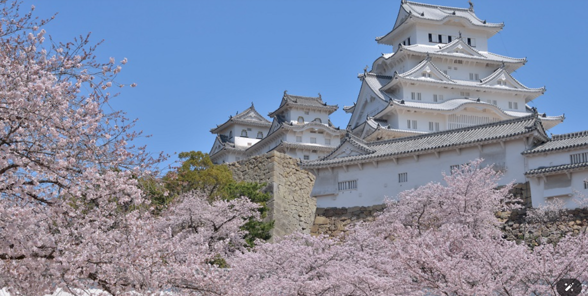 姫路観桜会