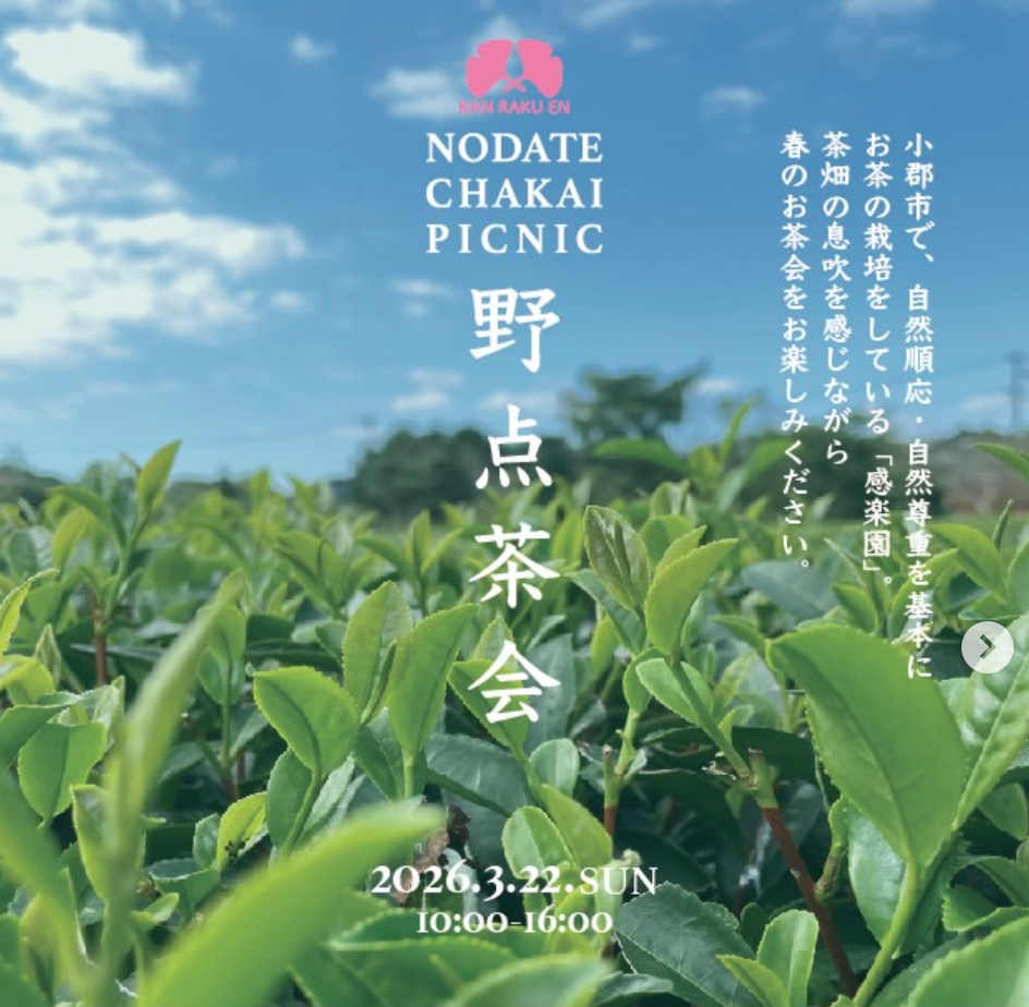 野点茶会を開催します!