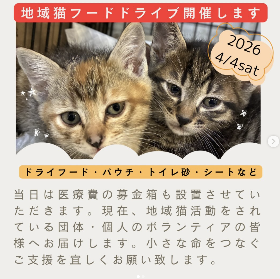 地域猫フードドライブ