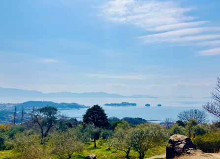 春の牛窓オリーブ園「岡山のエーゲ海」で絶景と緑に癒やされる旅