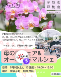 母の日フェア