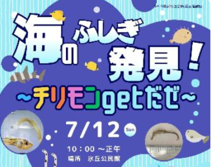 海の不思議発見!チリモンgetだぜ