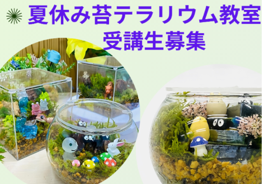 夏休み苔テラリウム教室