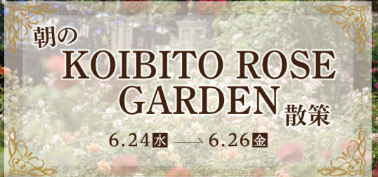 朝のKOIBITO ROSE GARDEN散策