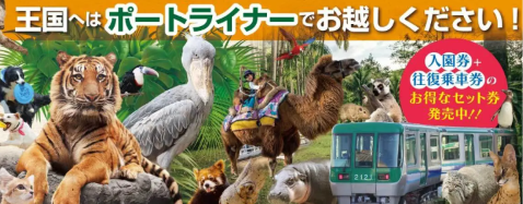 夏休みにぜひ!神戸どうぶつ王国完全ガイドと感動フライト