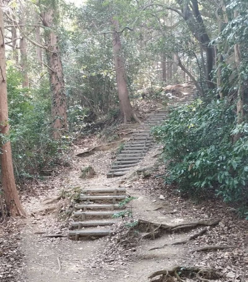 登山⓵