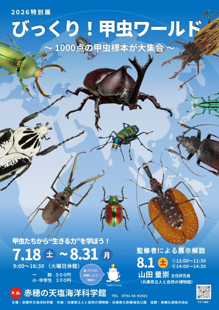 びっくり甲虫ワールド