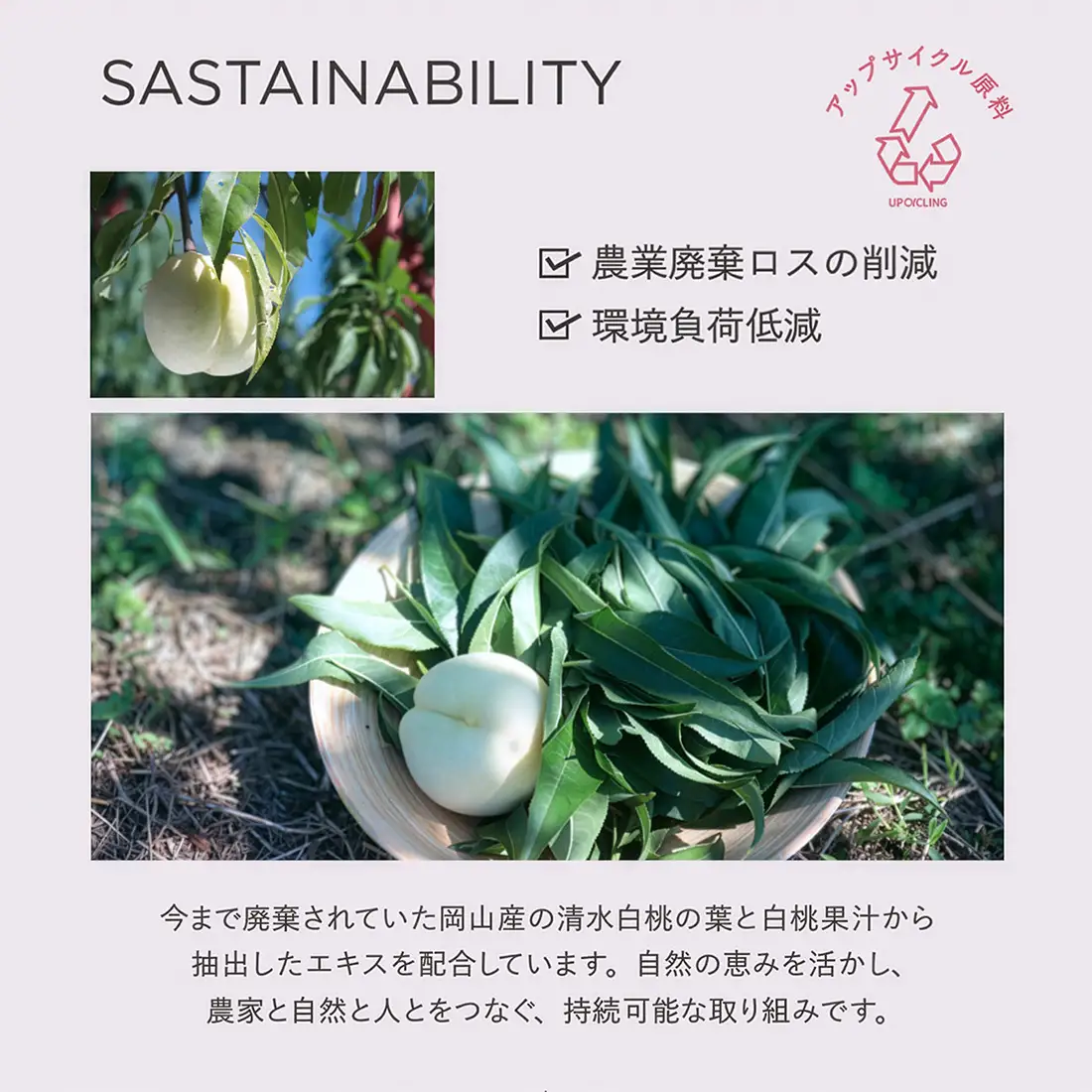 食べる白桃から、潤う手肌へ。くだもの屋の飽くなき挑戦