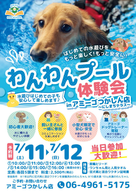わんわんプール体験会