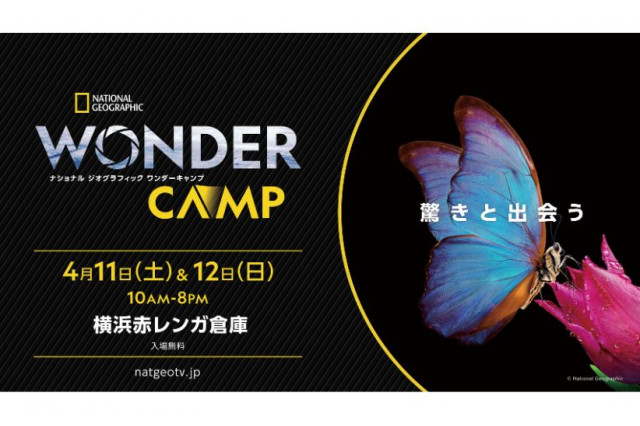 ナショナル ジオグラフィック ワンダーキャンプ