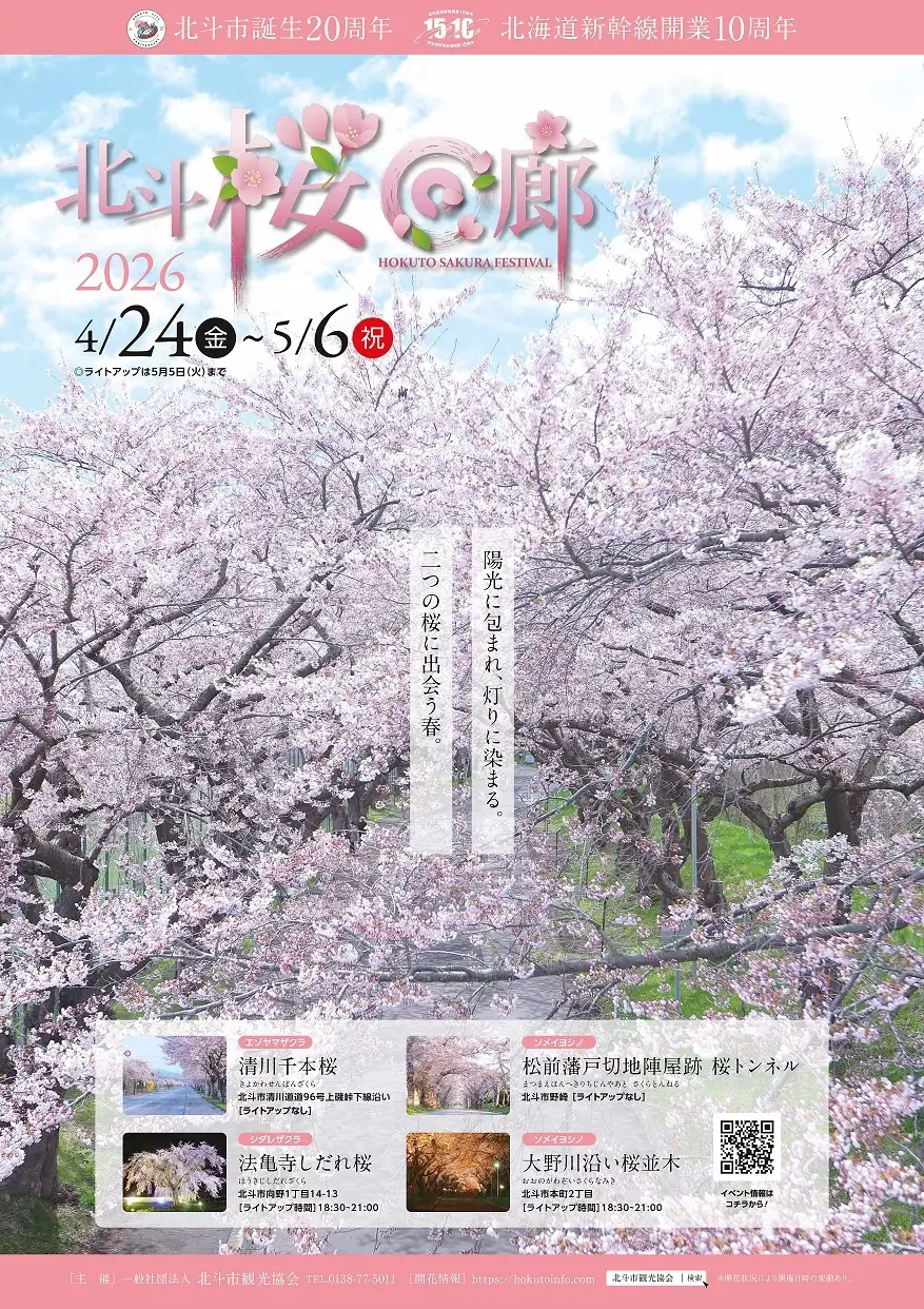 北斗桜回廊を満喫!北斗市で楽しむ春の絶景イベント