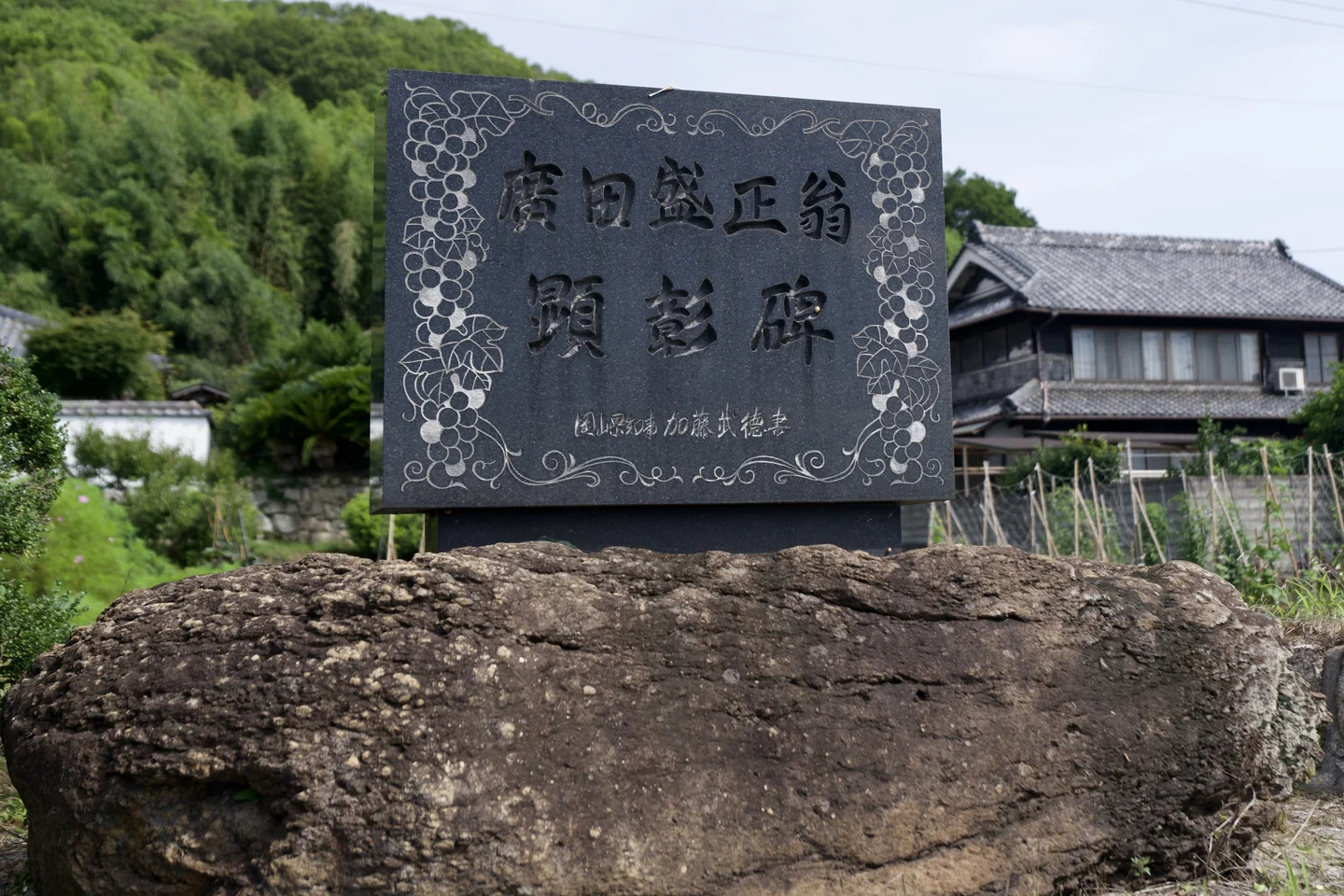 明治から続く岡山のぶどう産地、新シーズン始まりました