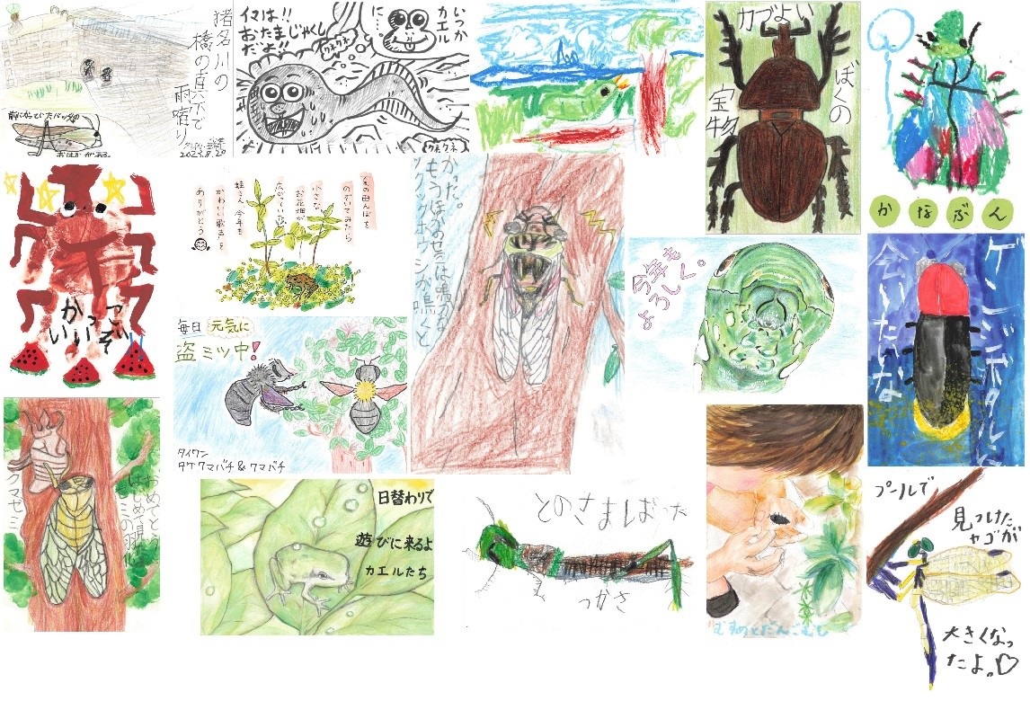 誰かに伝えたい『身近な自然』絵はがきギャラリー展」