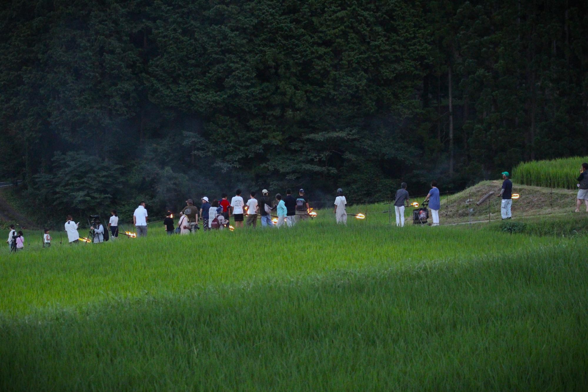 波賀 飯見棚田の虫送り