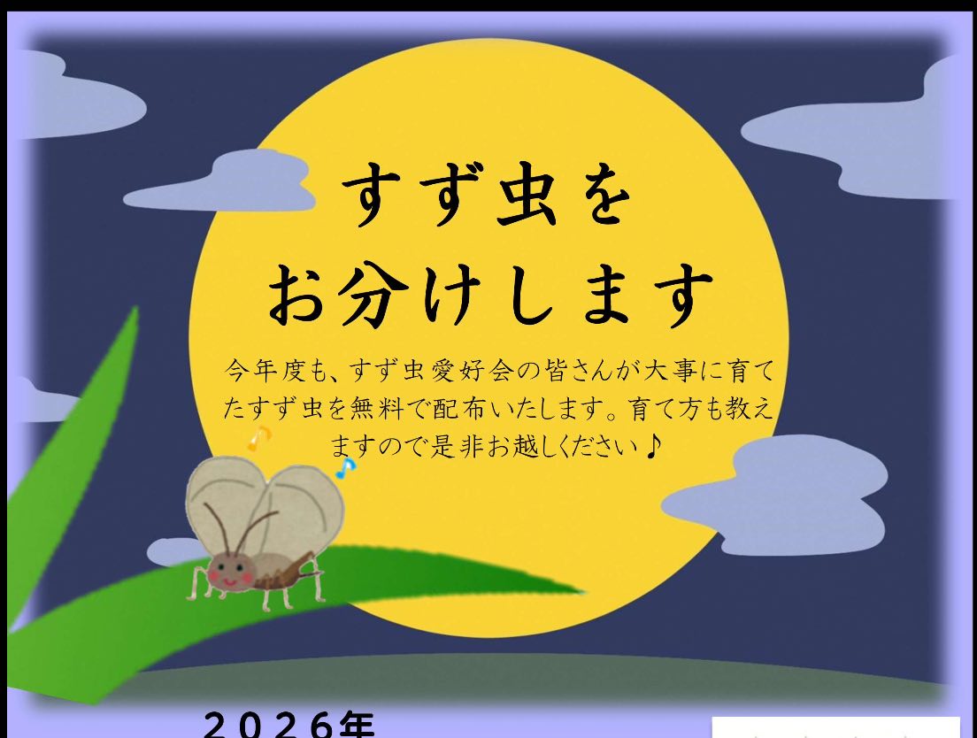 すず虫をお分けします!(先着)