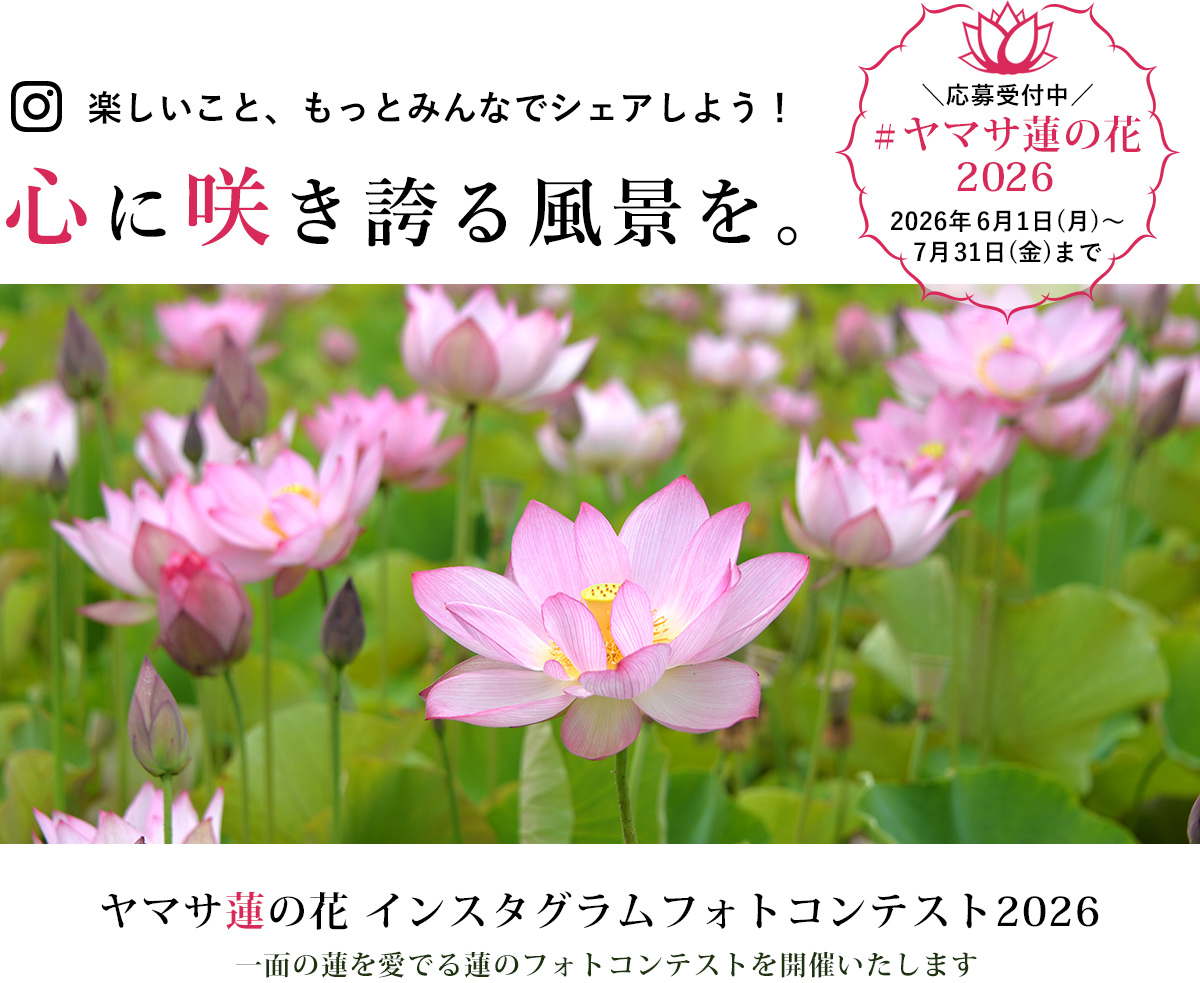 ヤマサ蒲鉾 蓮の花苑