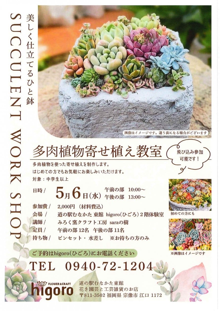 多肉植物寄せ植え教室
