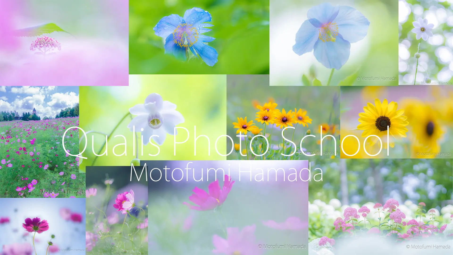花写真撮影ワークショップ