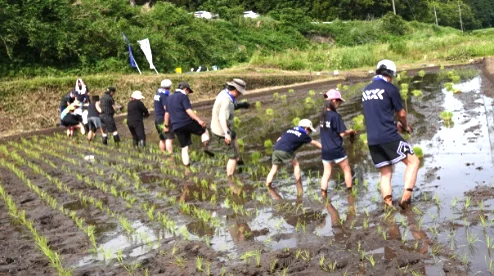豊かな水を未来へ!水田オーナー制度を通じた企業の地域貢献